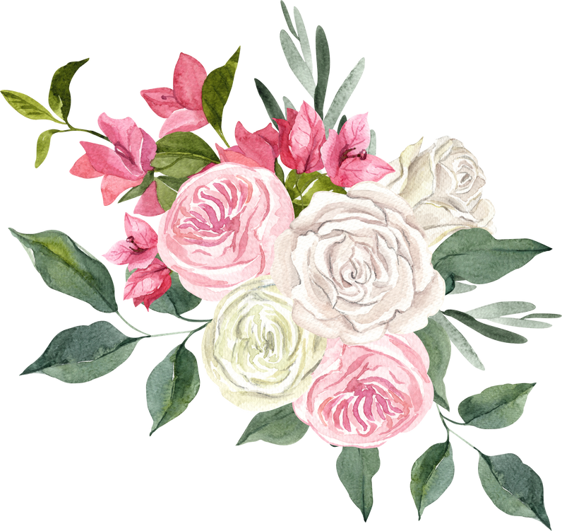 Watercolor White And Pink Roses, Bougainvillea Floral Arrangement Illustration